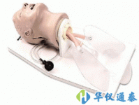 美国NASCO Airway Larry LF03699U急救插管头部模型