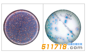 法国interscience Scan 300全自动菌落计数器1.png