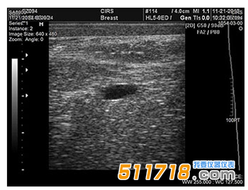 美国CIRS 073多模式乳房活检和超声波训练模体1.png