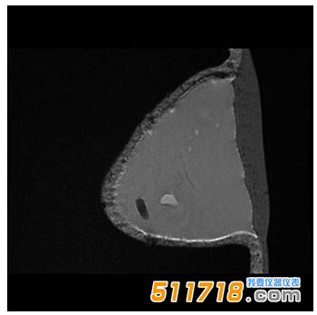 美国CIRS 073多模式乳房活检和超声波训练模体3.png