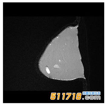 美国CIRS 073多模式乳房活检和超声波训练模体4.png