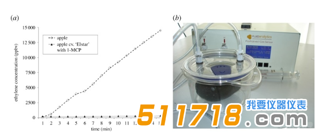 美国Fluid Analytics ETH-1010N乙烯分析监测系统1.png