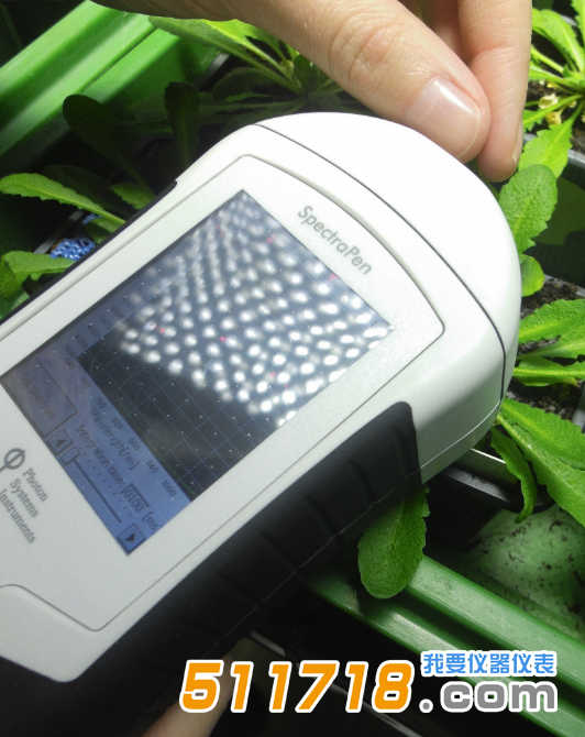 捷克PSI SpectraPen SP110手持式植物光谱仪.png