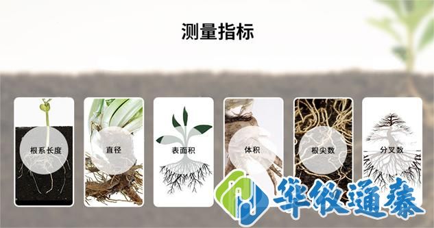 植物根系分析仪.jpg